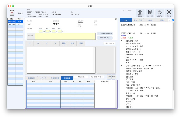 カルテ入力画面